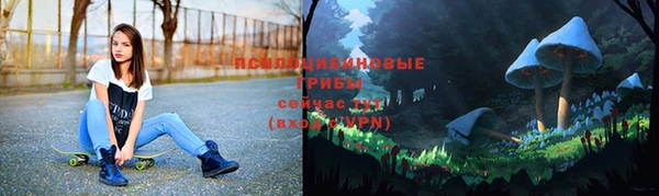 бошки Вяземский
