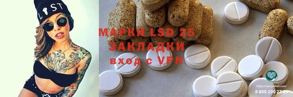 ешки Горняк