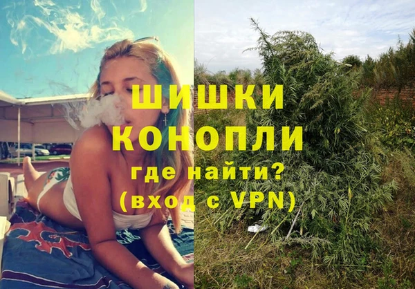 ешки Горняк