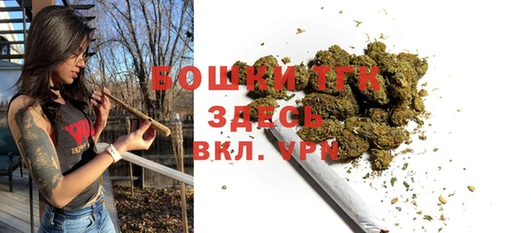 стаф Горнозаводск